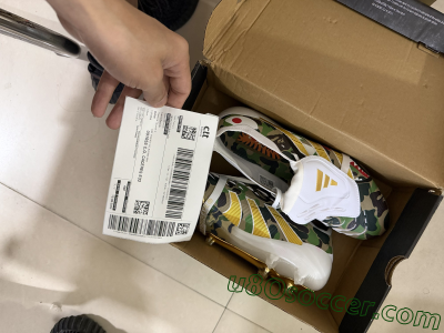 Shipped Order