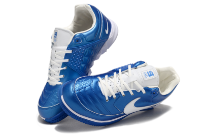 Nike Gota 2 IC Indoor & Futsal Soccer Shoes - Blue/White