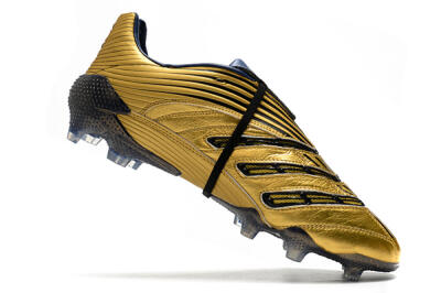 Adidas Predator Absolute 20 FG Firm Ground Soccer Cleats - Gold/Black/Blue