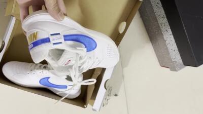 Nike Street Gato IC Indoor & Futsal Soccer Shoes - White/Blue
